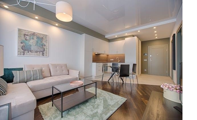 Furnished living room